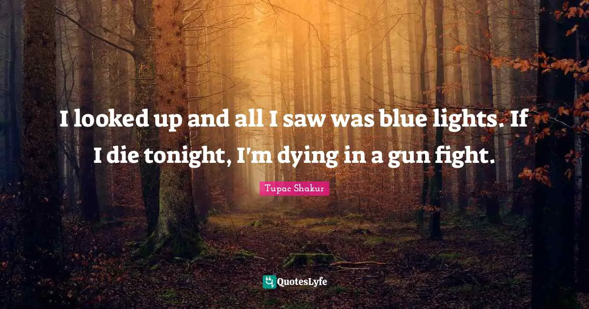 I looked up and all I saw was blue lights. If I die tonight, I'm dying in a gun fight.