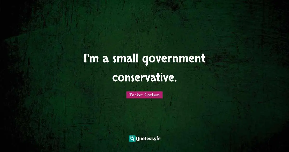 I'm a small government conservative.