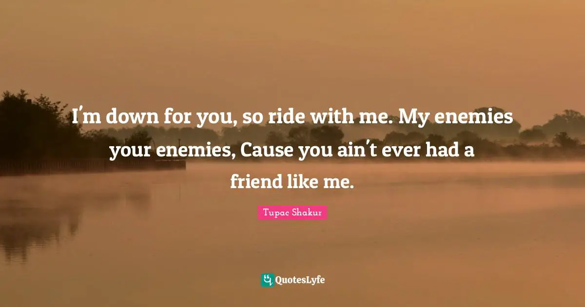 Like Me Quotes: "I'm down for you, so ride with me. My enemies your enemies, Cause you ain't ever had a friend like me."