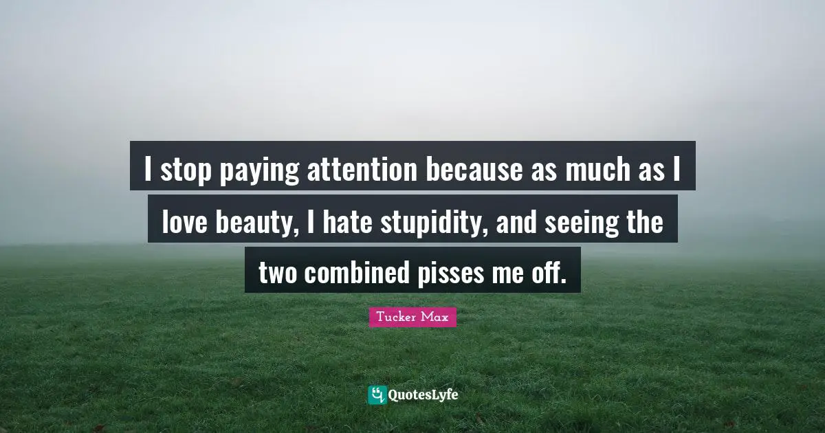 I stop paying attention because as much as I love beauty, I hate stupidity, and seeing the two combined pisses me off.