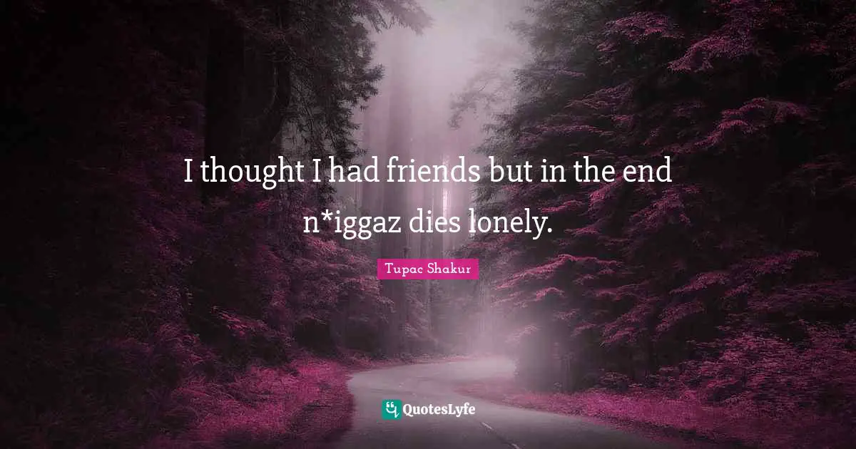 I thought I had friends but in the end n*iggaz dies lonely.