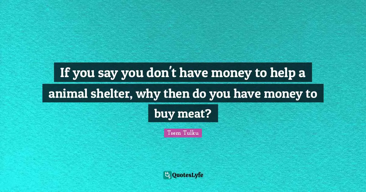 If you say you don't have money to help a animal shelter, why then do you have money to buy meat?