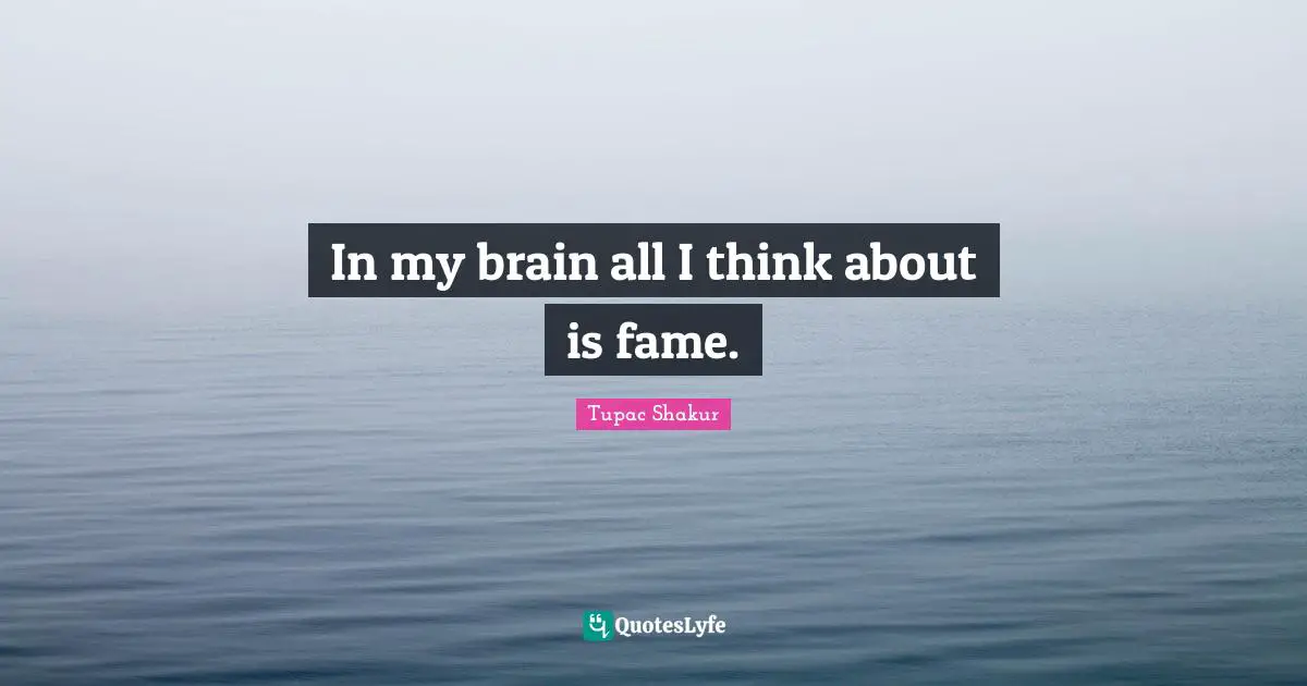 In my brain all I think about is fame.