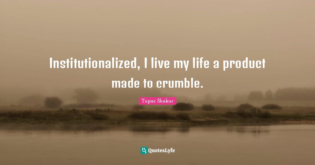 Institutionalized, I live my life a product made to crumble.