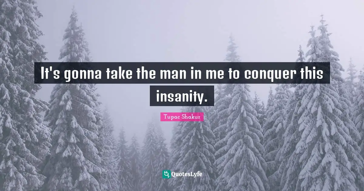 It's gonna take the man in me to conquer this insanity.