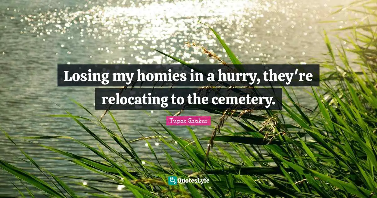 Losing my homies in a hurry, they're relocating to the cemetery.