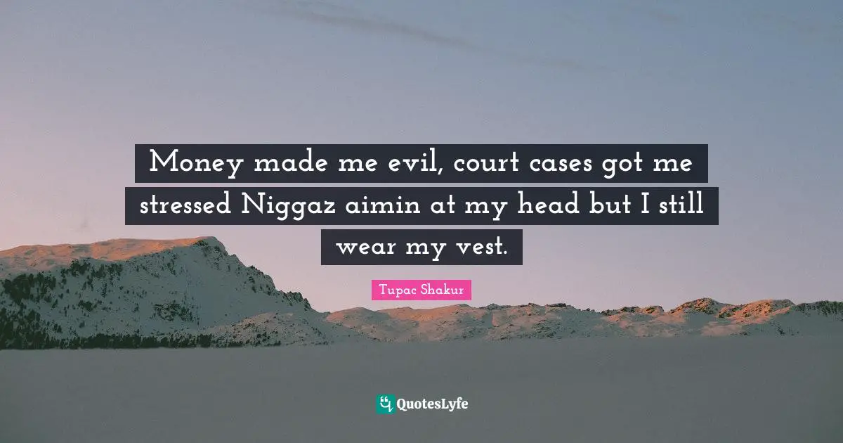 Money made me evil, court cases got me stressed Niggaz aimin at my head but I still wear my vest.