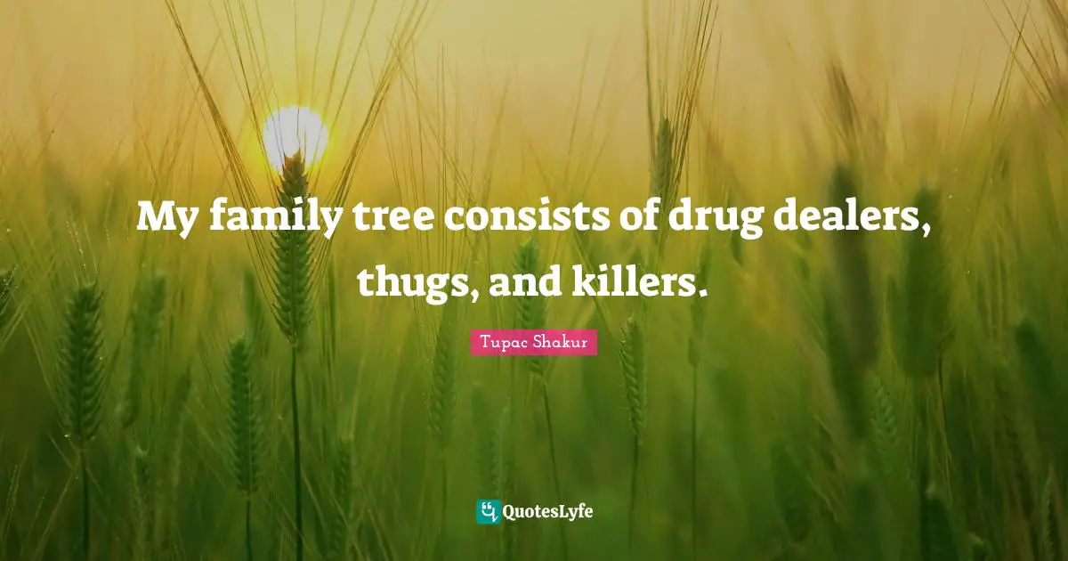 My family tree consists of drug dealers, thugs, and killers.