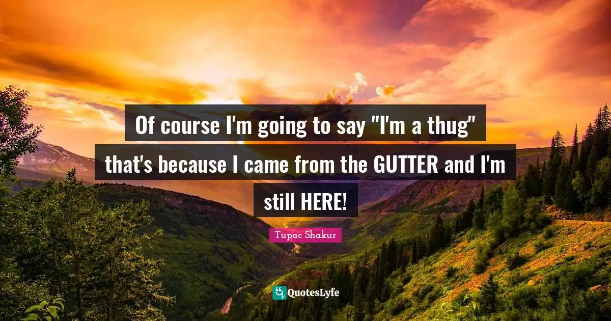 Gutters Quotes: "Of course I'm going to say "I'm a thug" that's because I came from the GUTTER and I'm still HERE!"