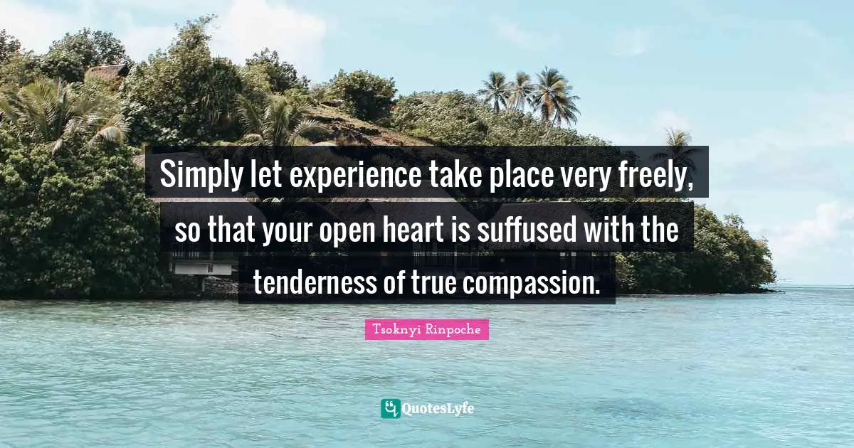 Simply let experience take place very freely, so that your open heart is suffused with the tenderness of true compassion.