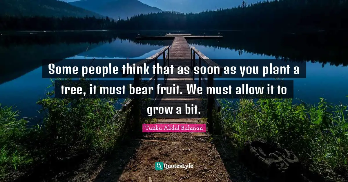 Tree Quotes: "Some people think that as soon as you plant a tree, it must bear fruit. We must allow it to grow a bit."