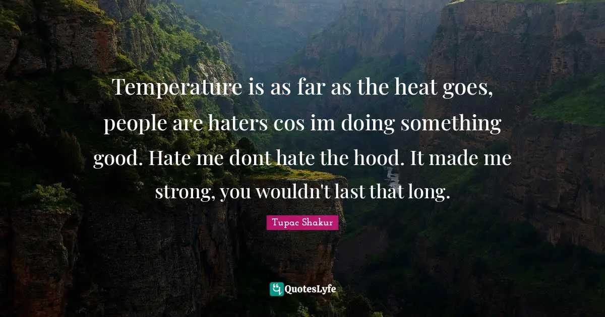 Temperature is as far as the heat goes, people are haters cos im doing something good. Hate me dont hate the hood. It made me strong, you wouldn't last that long.
