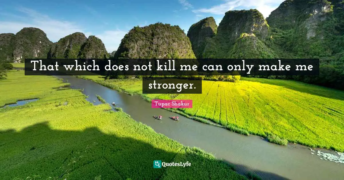 Thug Quotes: "That which does not kill me can only make me stronger."