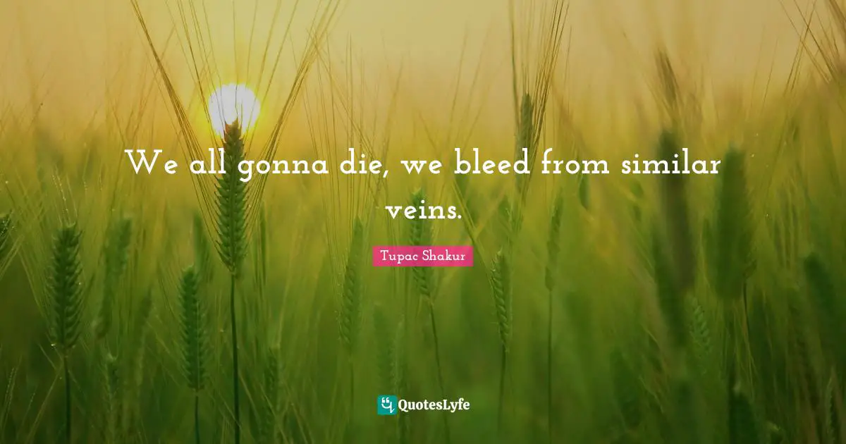 We all gonna die, we bleed from similar veins.