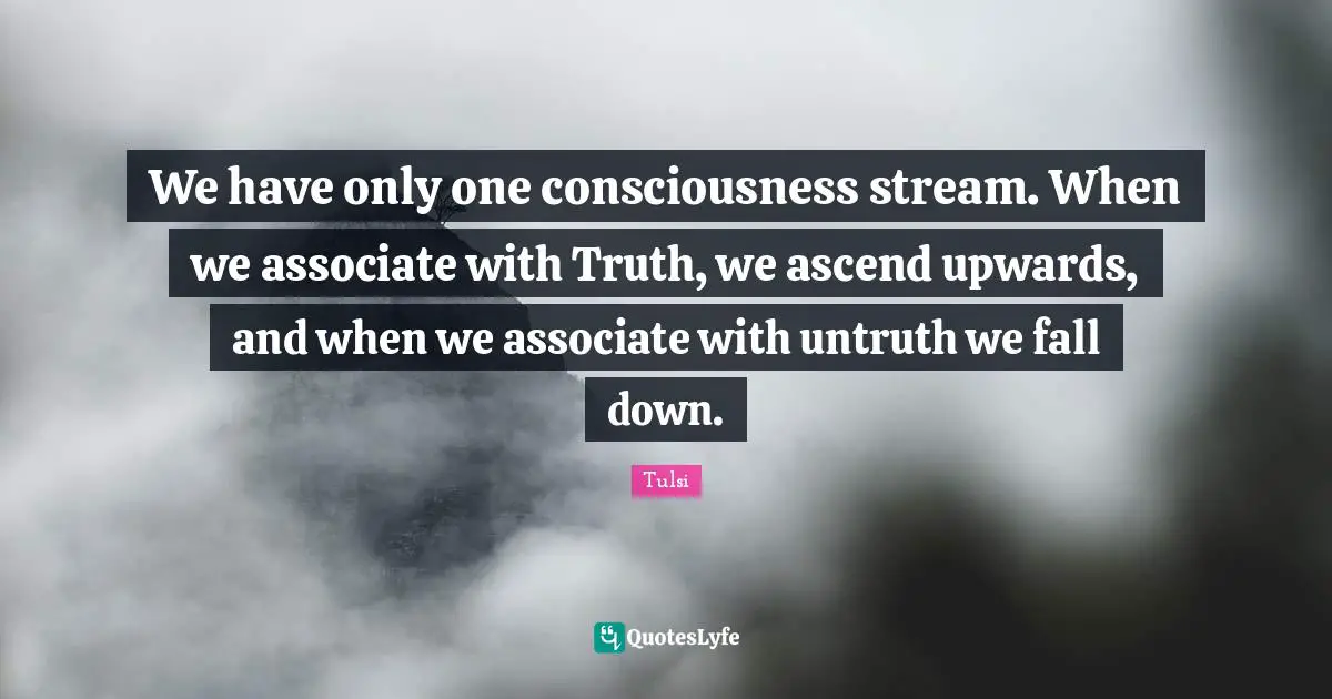 We have only one consciousness stream. When we associate with Truth, we ascend upwards, and when we associate with untruth we fall down.