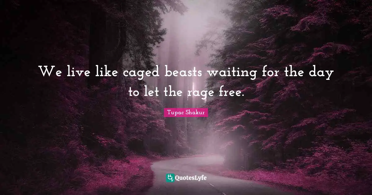 Caged Quotes: "We live like caged beasts waiting for the day to let the rage free."