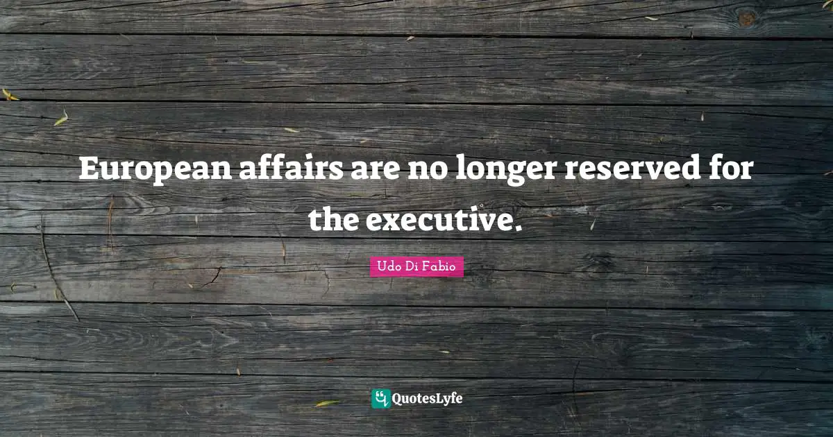 European affairs are no longer reserved for the executive.