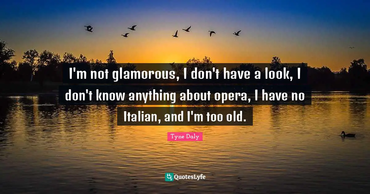 I'm not glamorous, I don't have a look, I don't know anything about opera, I have no Italian, and I'm too old.