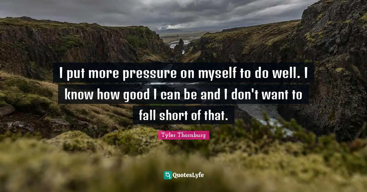 I put more pressure on myself to do well. I know how good I can be and I don't want to fall short of that.