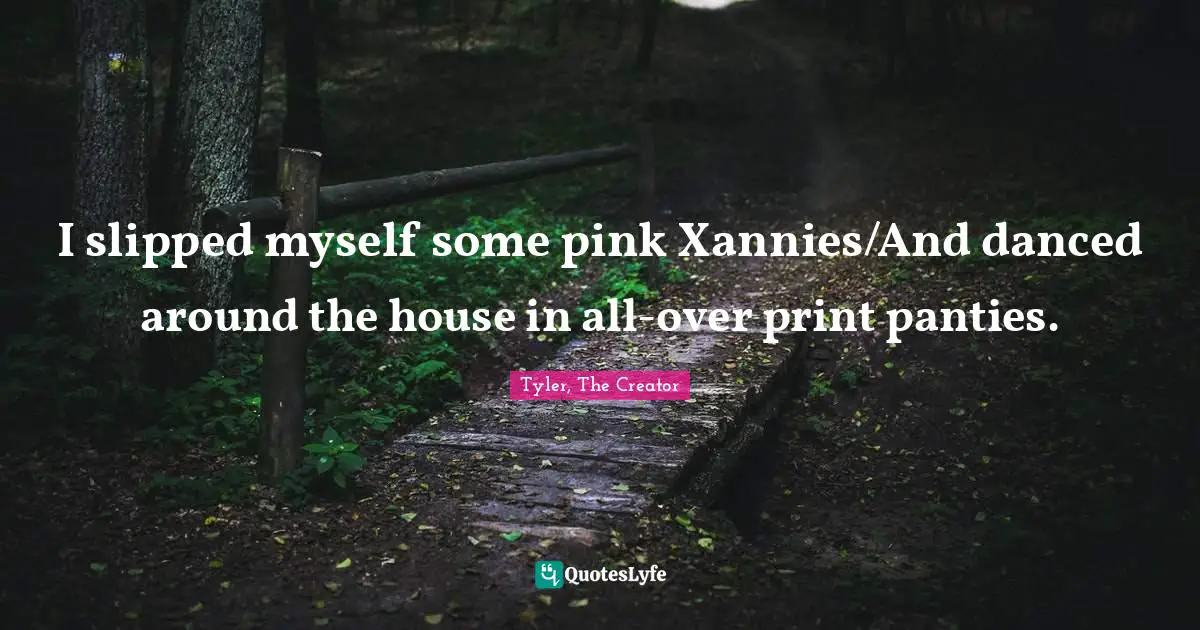 I slipped myself some pink Xannies/And danced around the house in all-over print panties.