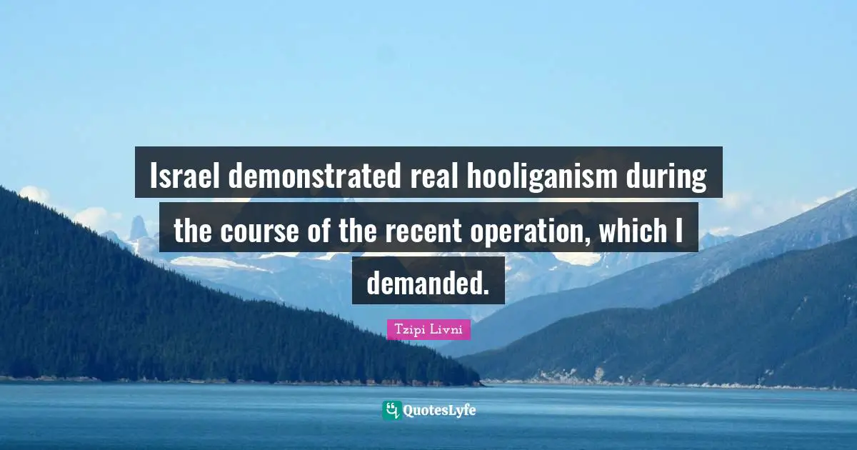 Israel demonstrated real hooliganism during the course of the recent operation, which I demanded.