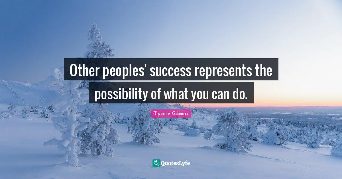Tyrese Quotes: "Other peoples' success represents the possibility of what you can do."