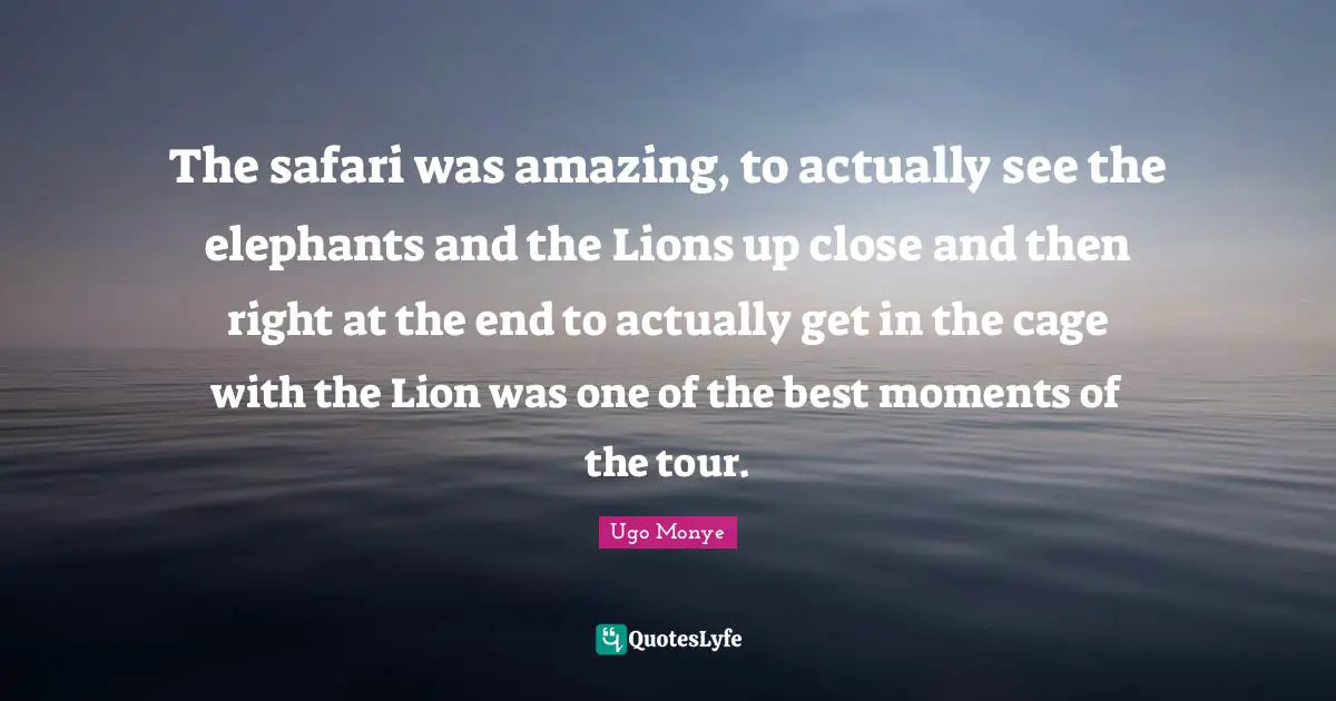 The safari was amazing, to actually see the elephants and the Lions up close and then right at the end to actually get in the cage with the Lion was one of the best moments of the tour.