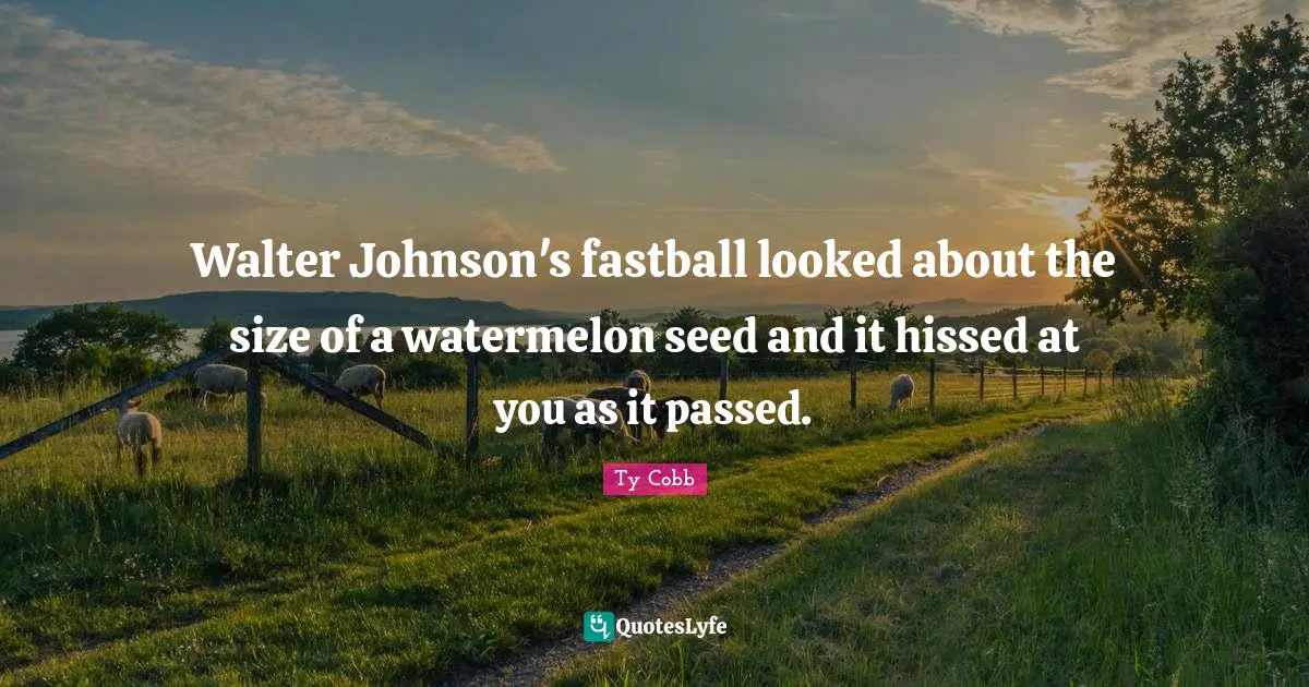 Walter Johnson's fastball looked about the size of a watermelon seed and it hissed at you as it passed.
