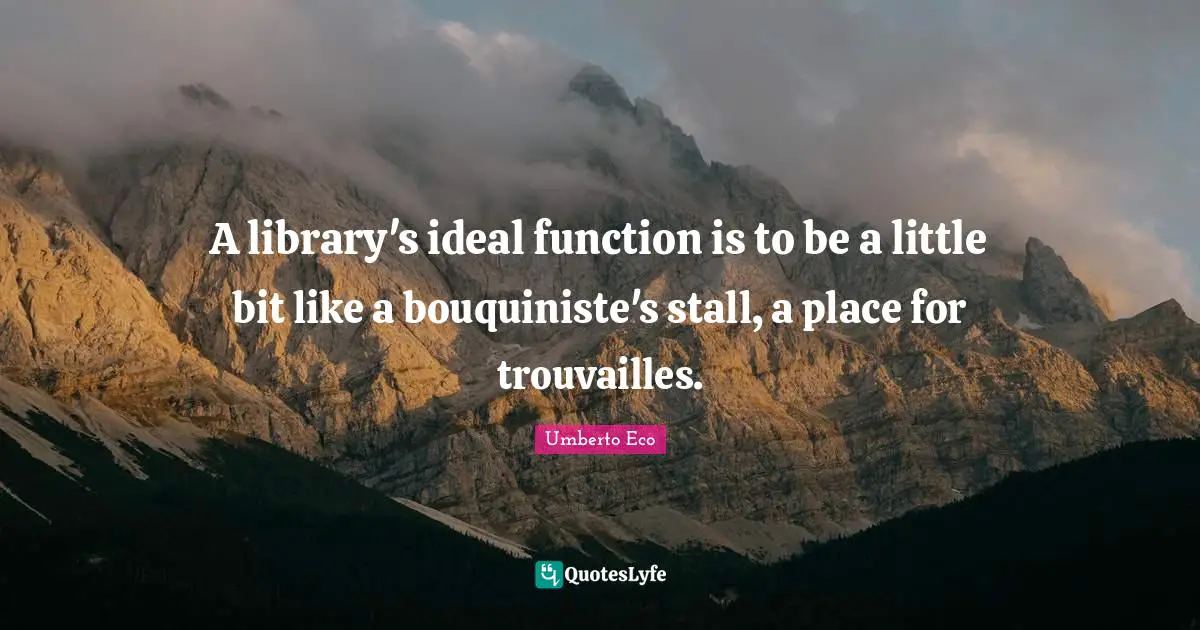 A library's ideal function is to be a little bit like a bouquiniste's stall, a place for trouvailles.