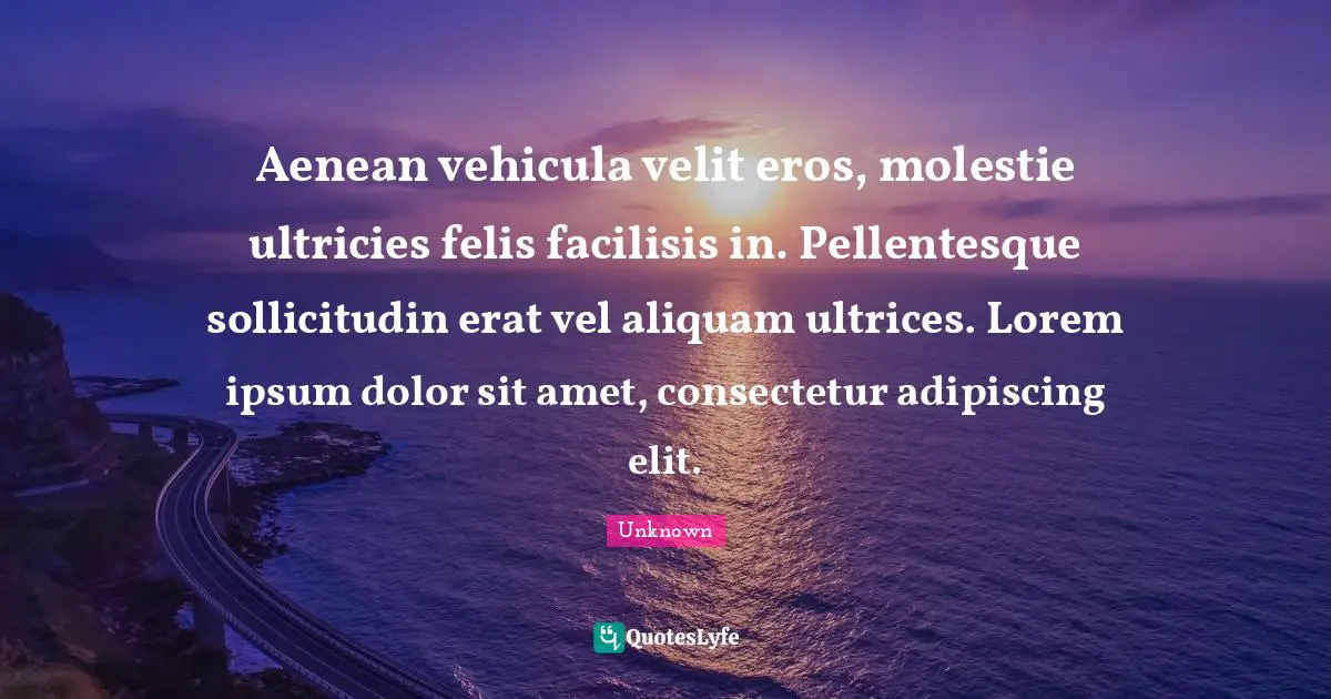 Aenean vehicula velit eros, molestie ultricies felis facilisis in. Pellentesque sollicitudin erat vel aliquam ultrices. Lorem ipsum dolor sit amet, consectetur adipiscing elit.
