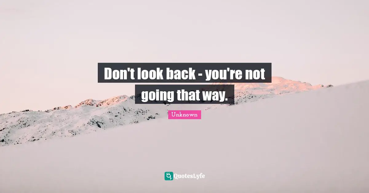 Have A Nice Day Quotes: "Don't look back - you're not going that way."