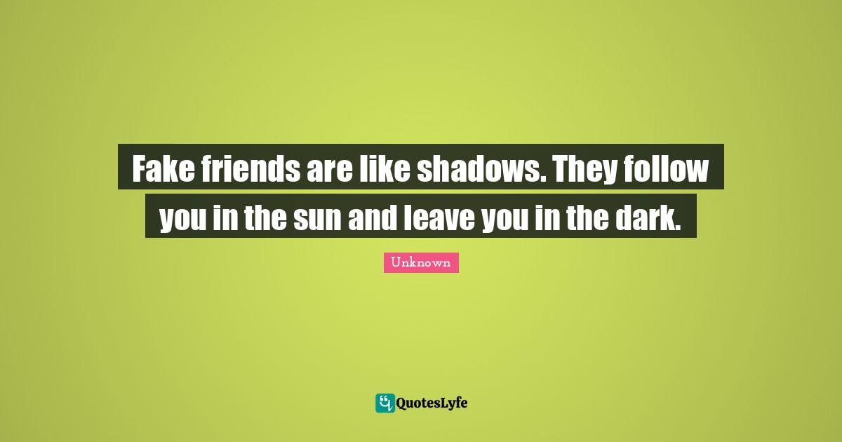 Fake friends are like shadows. They follow you in the sun and leave you in the dark.
