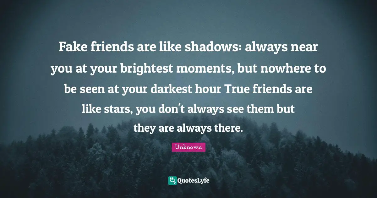 Fake friends are like shadows: always near you at your brightest moments, but nowhere to be seen at your darkest hour True friends are like stars, you don't always see them but they are always there.