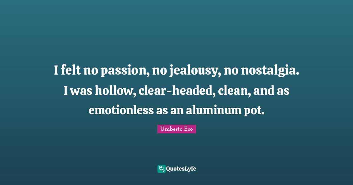 I felt no passion, no jealousy, no nostalgia. I was hollow, clear-headed, clean, and as emotionless as an aluminum pot.