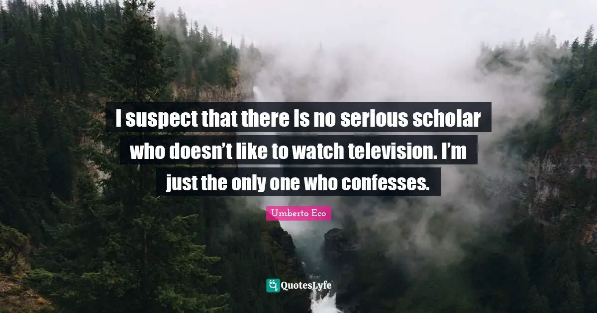 I suspect that there is no serious scholar who doesn’t like to watch television. I’m just the only one who confesses.