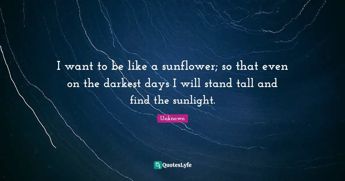 Tall Quotes: "I want to be like a sunflower; so that even on the darkest days I will stand tall and find the sunlight."