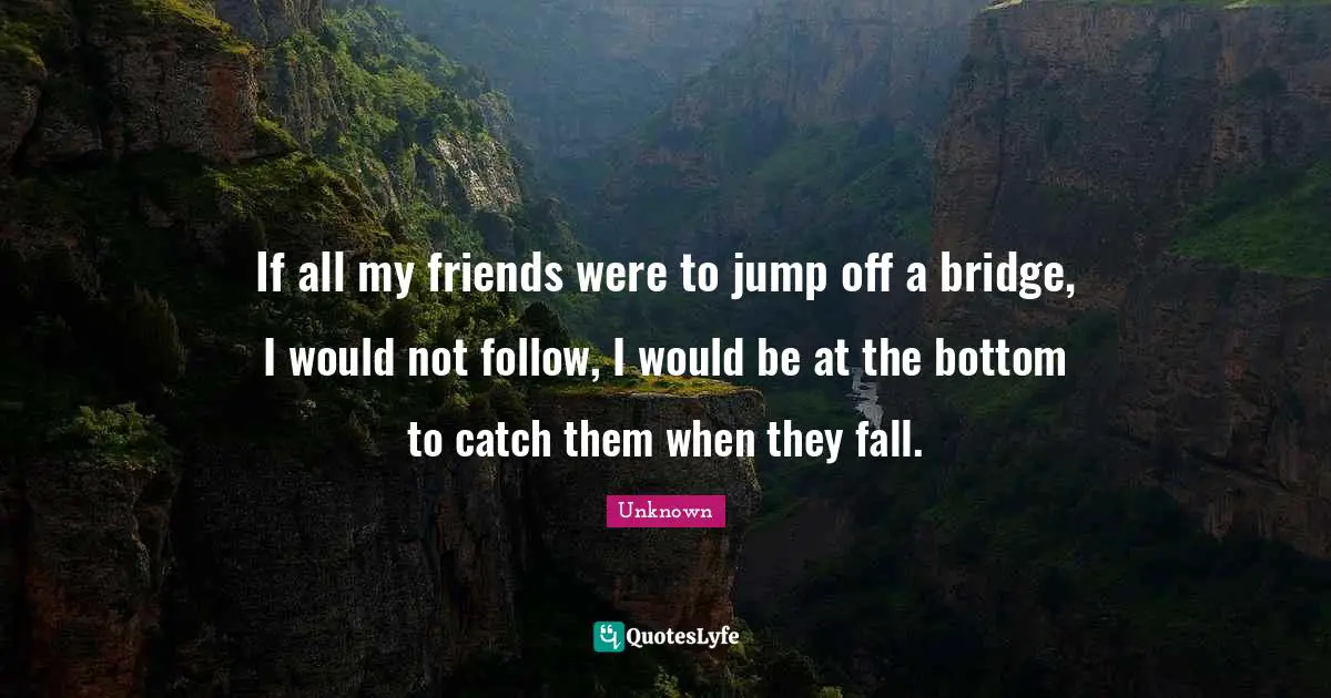 If all my friends were to jump off a bridge, I would not follow, I would be at the bottom to catch them when they fall.