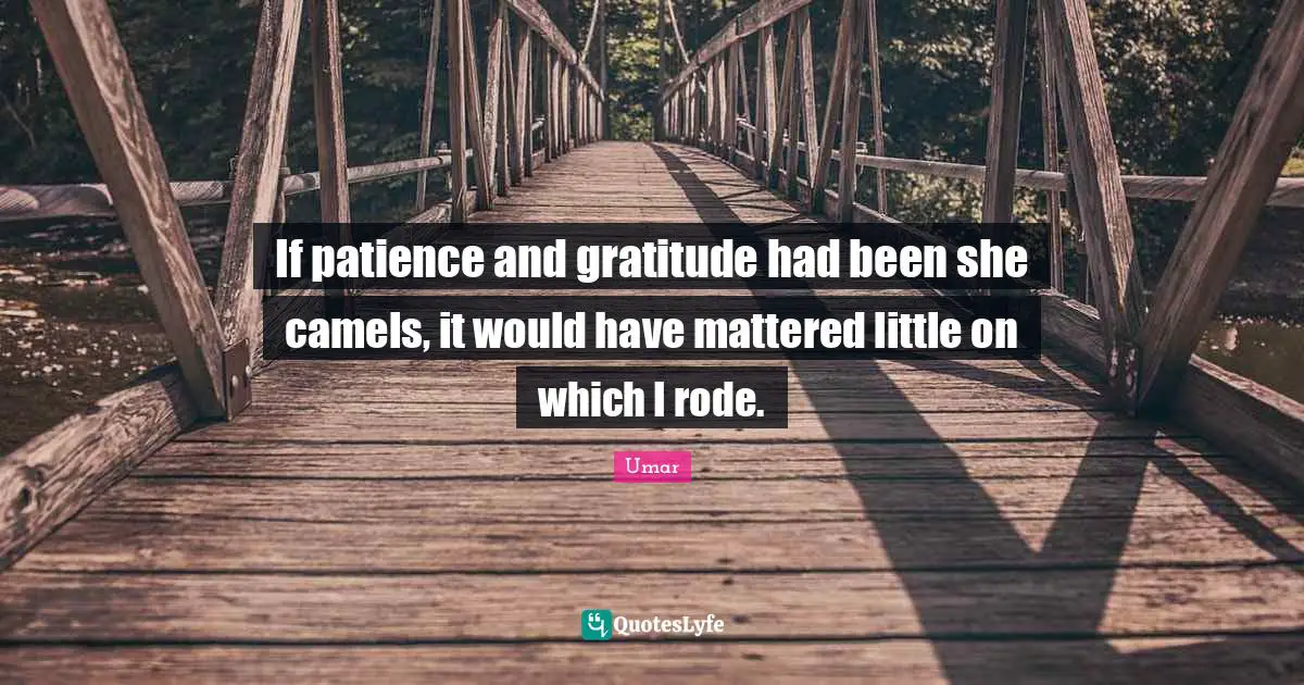 Camels Quotes: "If patience and gratitude had been she camels, it would have mattered little on which I rode."