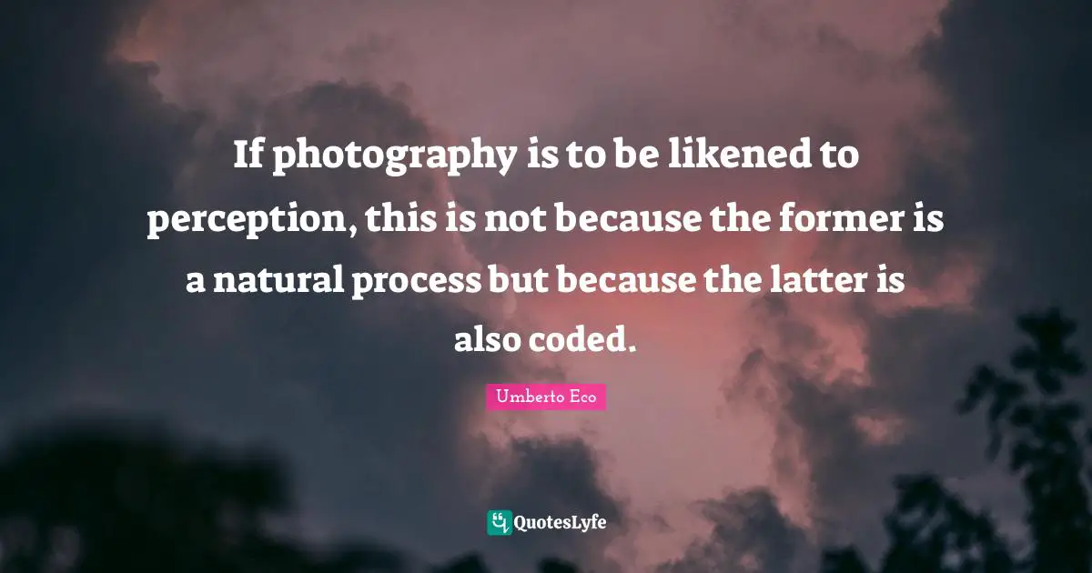 If photography is to be likened to perception, this is not because the former is a natural process but because the latter is also coded.