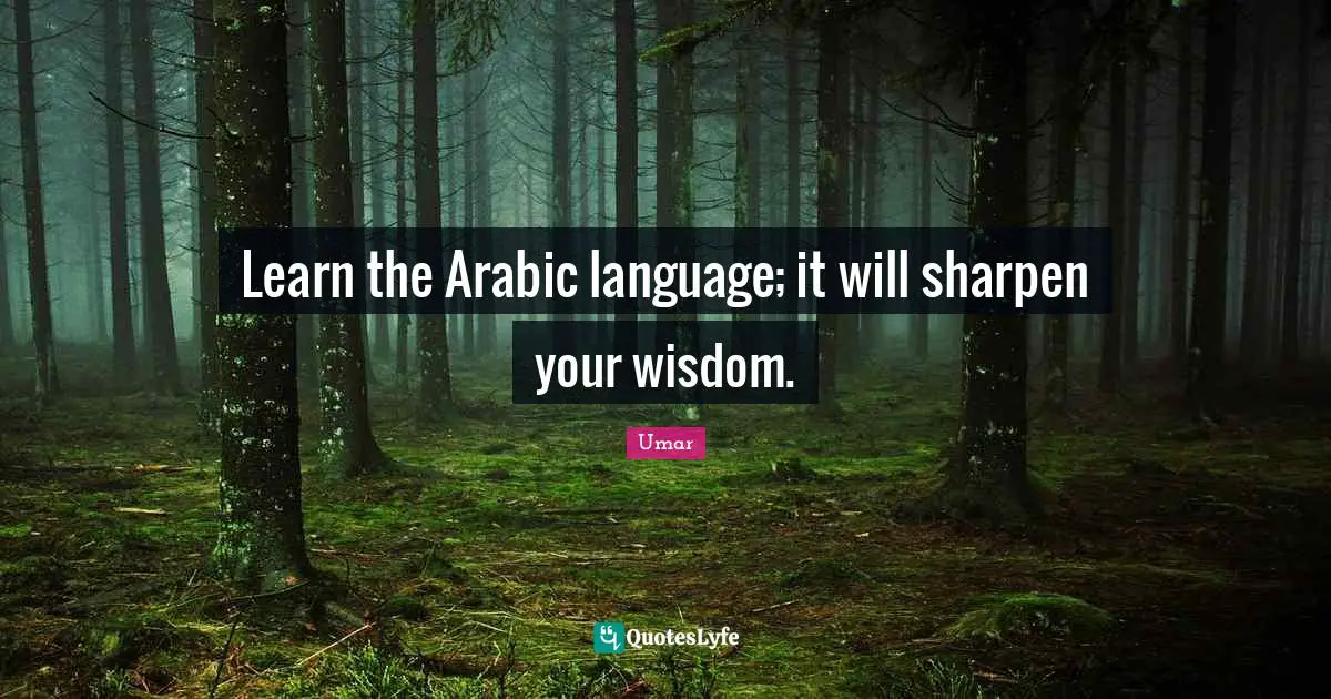 Learn the Arabic language; it will sharpen your wisdom.