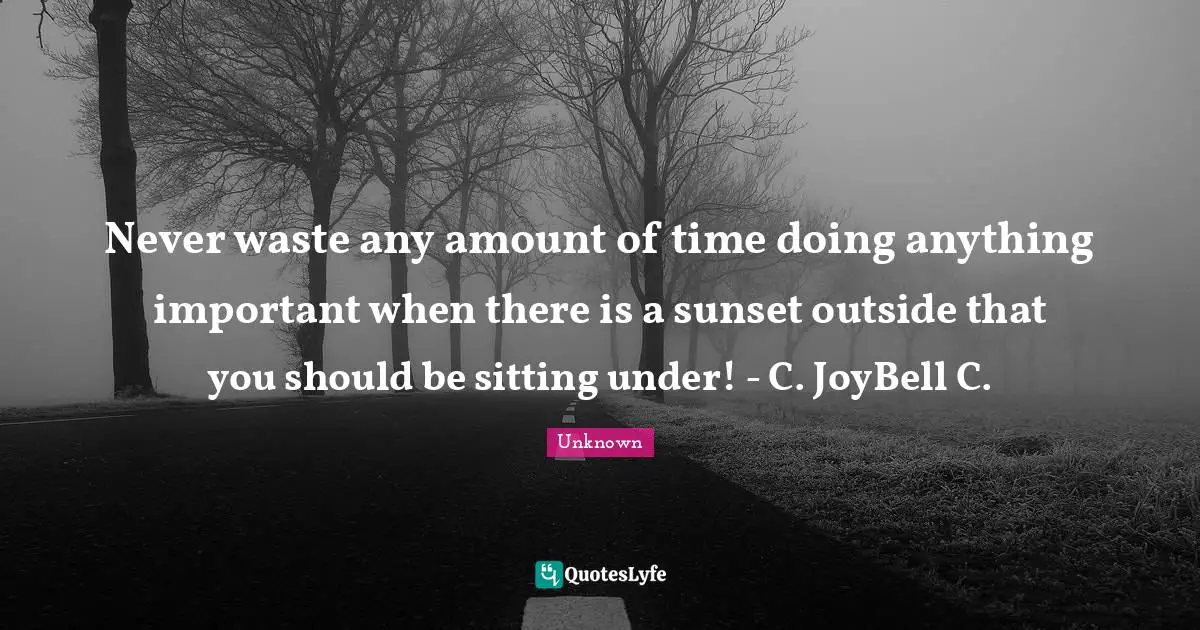 Never waste any amount of time doing anything important when there is a sunset outside that you should be sitting under! - C. JoyBell C.