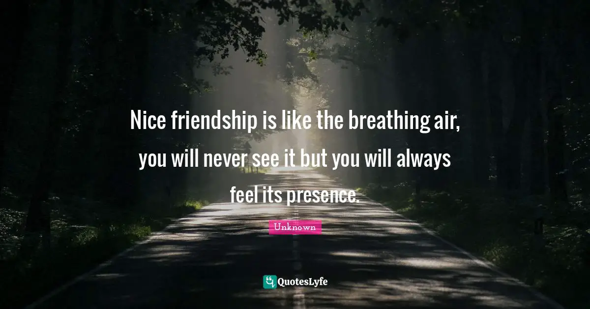 Nice friendship is like the breathing air, you will never see it but you will always feel its presence.