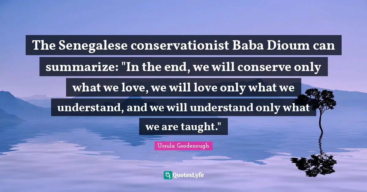 The Senegalese conservationist Baba Dioum can summarize: "In the end, we will conserve only what we love, we will love only what we understand, and we will understand only what we are taught."