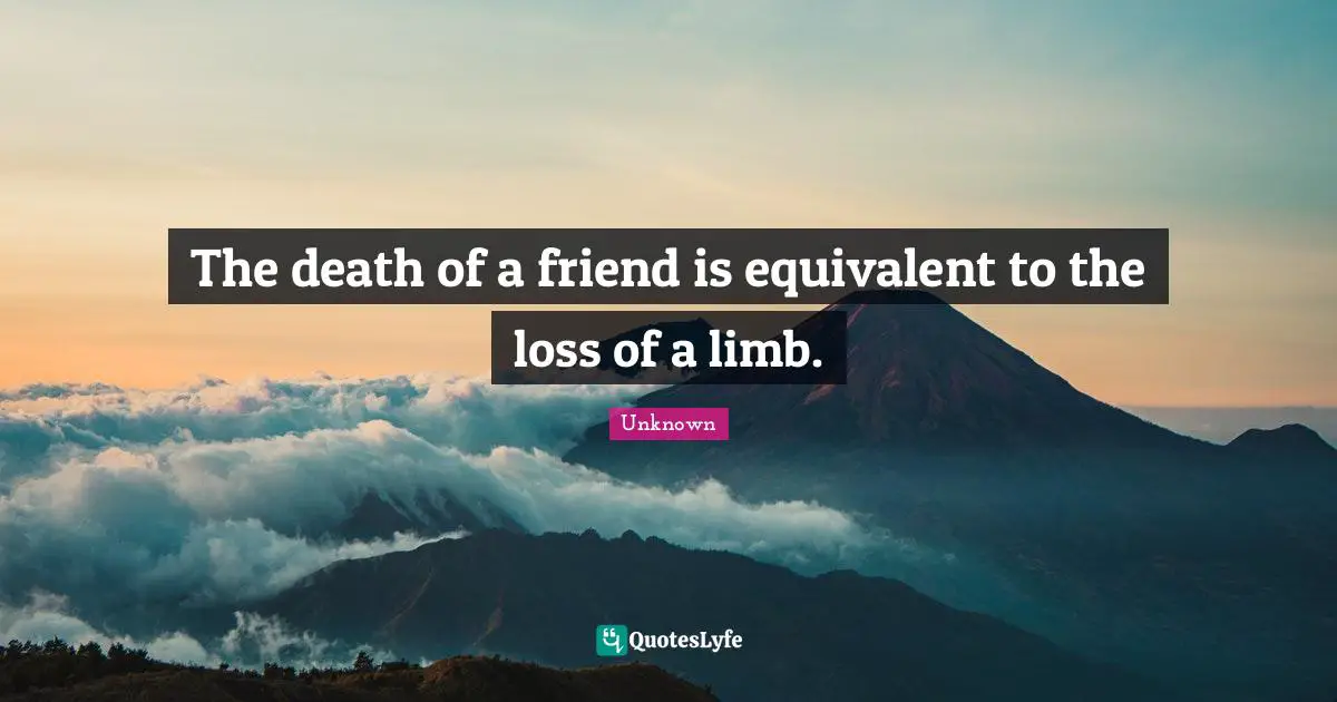 The death of a friend is equivalent to the loss of a limb.