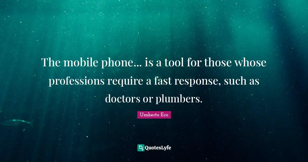The mobile phone... is a tool for those whose professions require a fast response, such as doctors or plumbers.