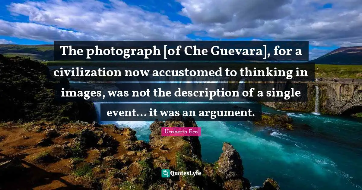 The photograph [of Che Guevara], for a civilization now accustomed to thinking in images, was not the description of a single event... it was an argument.