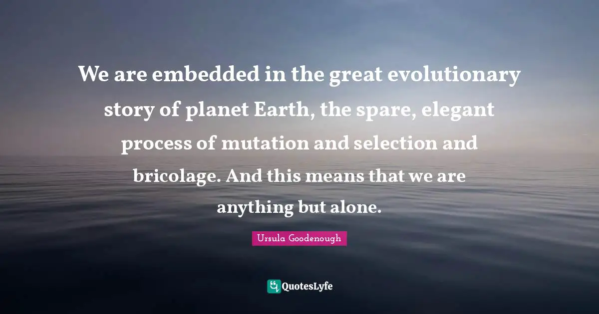 We are embedded in the great evolutionary story of planet Earth, the spare, elegant process of mutation and selection and bricolage. And this means that we are anything but alone.
