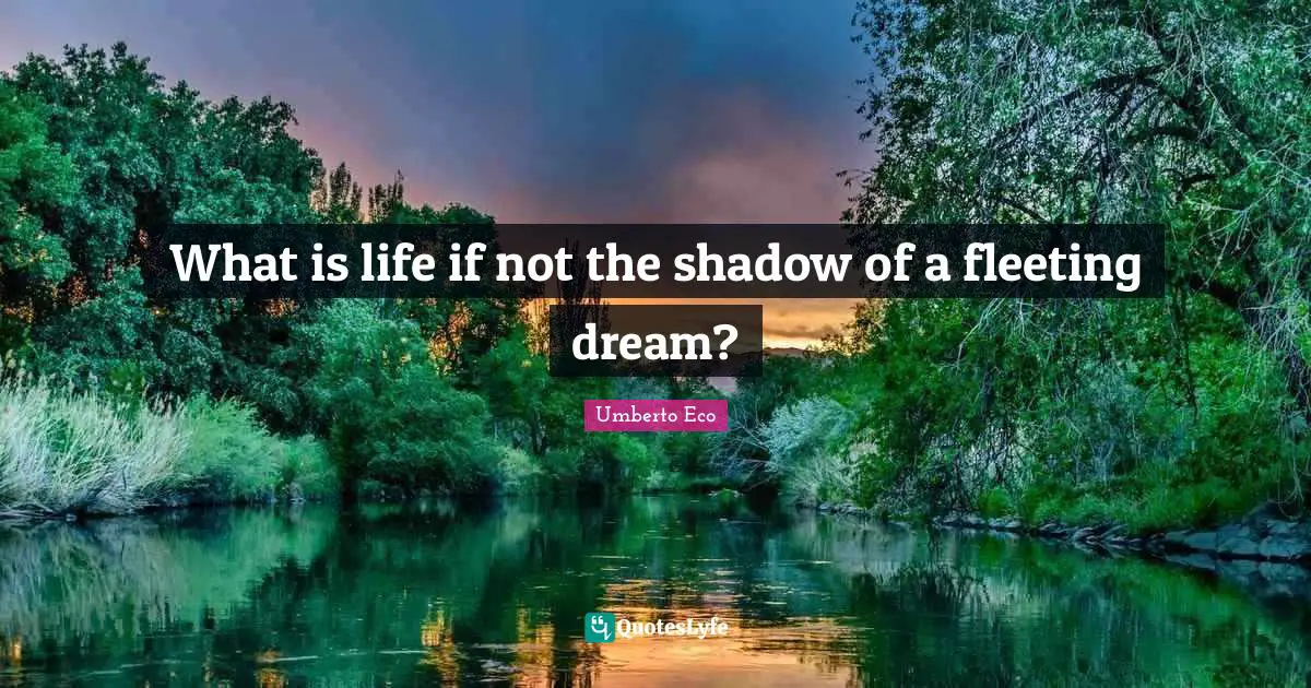 What is life if not the shadow of a fleeting dream?