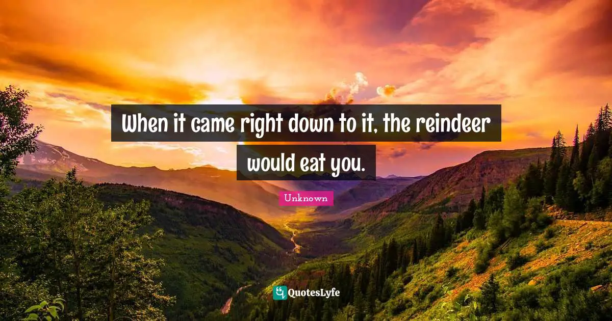 When it came right down to it, the reindeer would eat you.