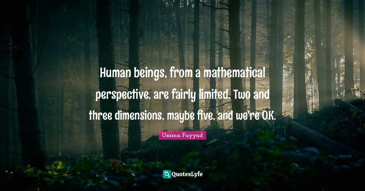 Human beings, from a mathematical perspective, are fairly limited. Two and three dimensions, maybe five, and we're OK.